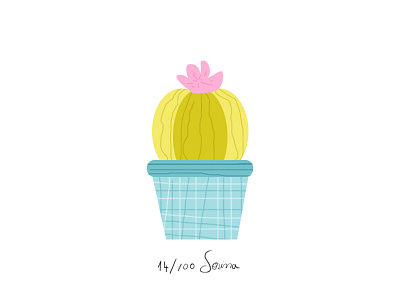 Cactus 100dayproject cacti cactus green illustration nature pattern pink plant