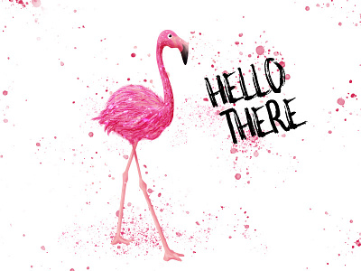 Pink Flamingo bird design flamingo illustration painting pink splash