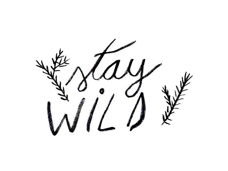 Stay Wild handdrawntype illustration nature photoshop type