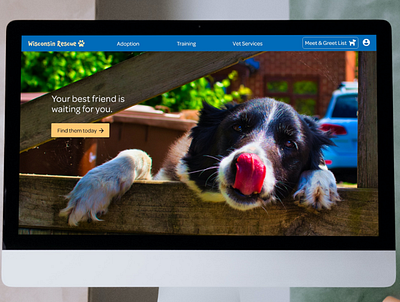 Animal Rescue Homepage design ui ux