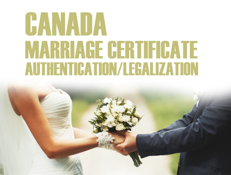 Marriage Certificate Authentication By Helpline1988 On Dribbble   22e6058261c36cc8512cc6f6376c6db8 