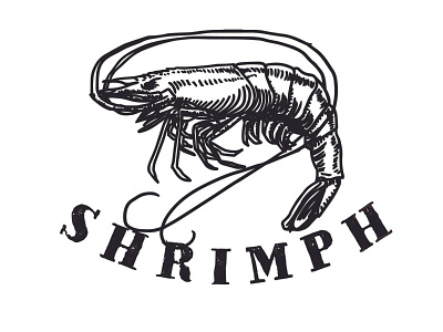 Shrimph animal illustration rustic salty sea seafood