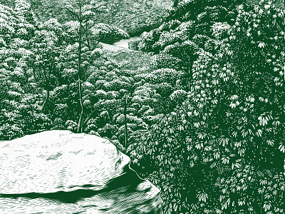Pinnacles of Berea digital engraving forest hiking illustration overlook trees woodcut