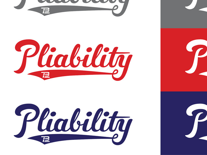 Baseball Script pliability baseball script hand lettering lettering