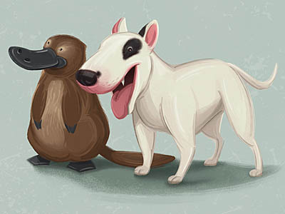 Children's Illustration animals bull terrier illustration platypus