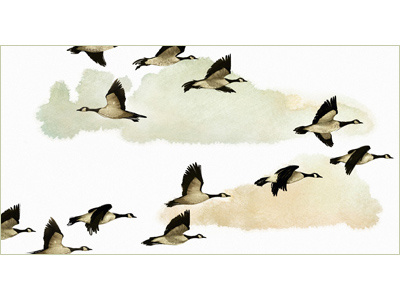 Changing Direction changing direction flying geese illustration