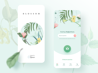 Blossom - Plant Identificatio‪n app care flowers identify plants splash ui