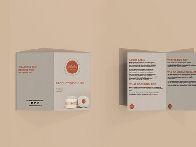 BROCHURE CARDS app branding design graphic design illustration logo typography ui ux vector