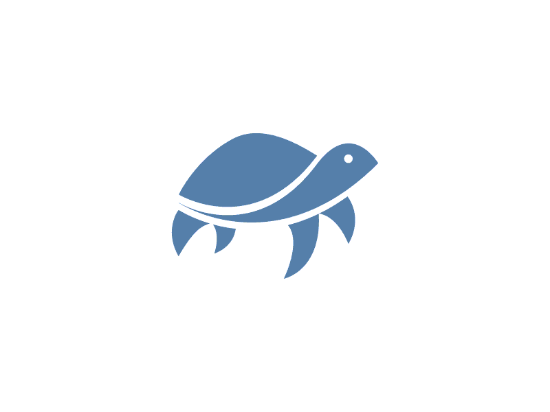 Blue Turtle Products logo concepts blue blue logo blue turtle branding logo logo concept logo design minimal minimal logo minimalist tortoise turtle