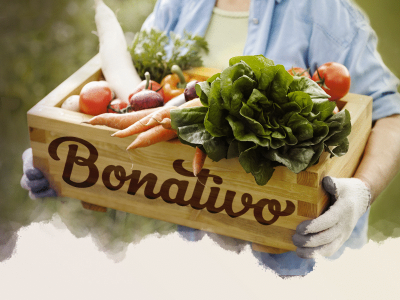 Bonativo Logotype bonativo logo branding hand lettering produce grocery the letter b food german