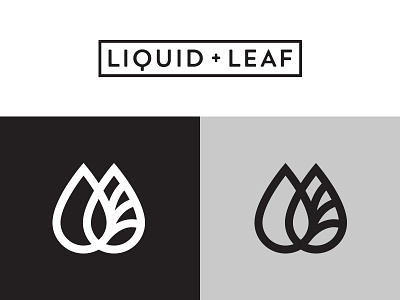 Liquid & Leaf black box service brand green house blend leaf liquid logo sacha tea water