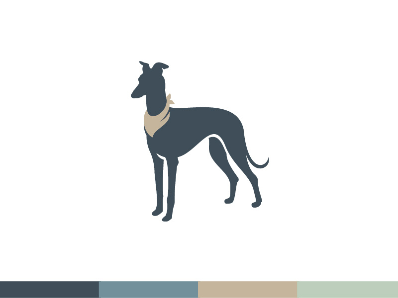 Bdb 2 dribbble