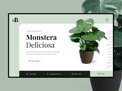 Product detail page card cards colour design dual color green landing page layout leaf leafs monstera monstera deliciosa plants plants app ui website