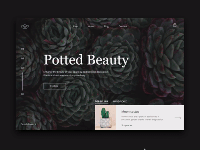 landing page potted beauty
