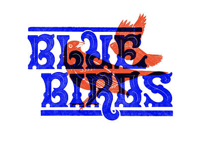 Blue Birds brand design branding and identity branding design graphic design illustration typo typography typography art