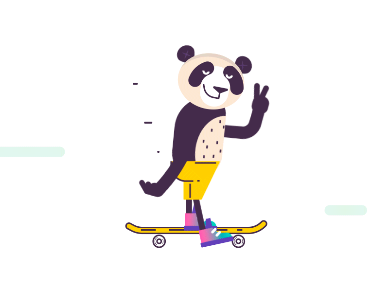 cool panda animals movement panda skateboard sneakers sport