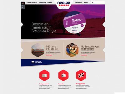 Neoweb agro brand corporate responsive webdesign website