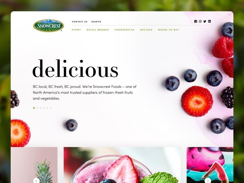 Snowcrest Website Design web design ux ui