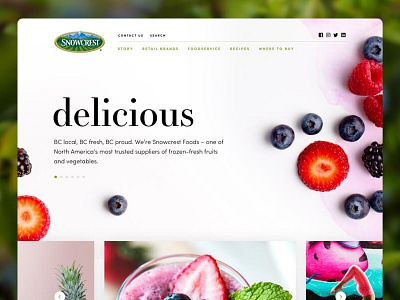 Snowcrest Website Design ui ux web design