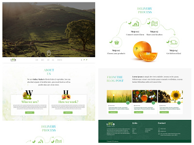 Organic Farm Website Design fruits green marketplace online store organic vegetables web page design website design