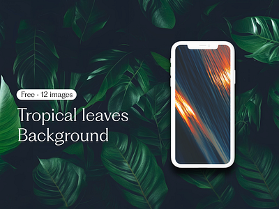 [FREE] Tropical leaves background • 12 images background design graphic design hd high resolution mock up pattern pattern design tropical leaves ui