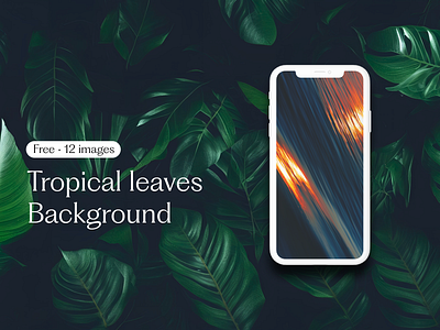 [FREE] Tropical leaves background • 12 images