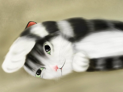 Cutiest Catty 🐱😻 cat catty cute design digitalart grey illustration procreate tom white