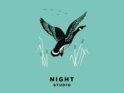 Swoop on by goose hunting illustration night studio wildlife
