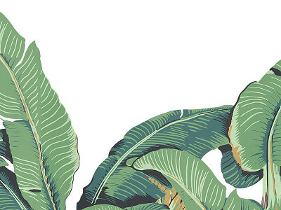 Up & Coming: Banana Leaves Snapchat Filter