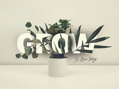 Grow In New Ways design grow inspiration minimal plants typography
