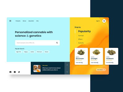 Landing page exploration branding ui web