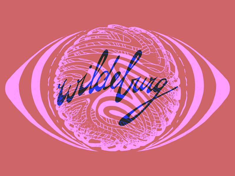 Wildeburg Metamorphosis Logo animation 2d fluid gif logo logo animation loop metamorphosis organic special effects trippy vfx wildeburg