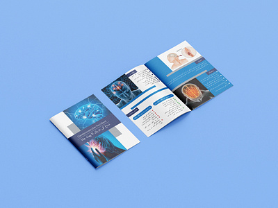 Brochure Design design graphic design illustration typography vector