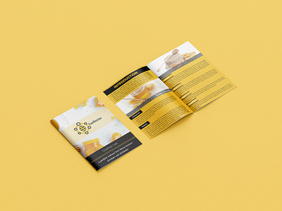 Brochure Design design graphic design illustration typography vector