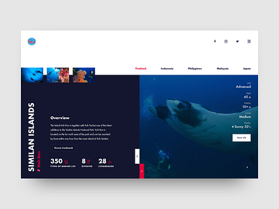 PADI UI Concept activity blue color design diving outdoor recreation sport travel ui underwater water website