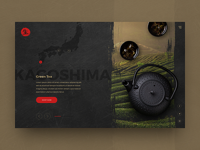 Teahouse Concept coffee dark design tea ui website