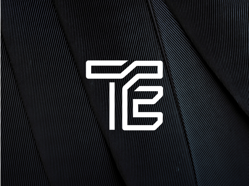 TE Logo By Stephen Doulas On Dribbble