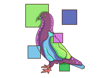 Pigeon Illustration adobe bird colourful flatdesign illustration illustrator pigeon vector vectorart