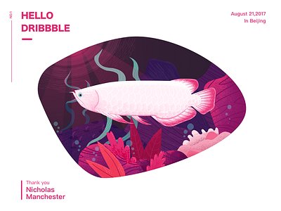 Hello Dribbble arowana dribbble fish illustration light pink water plants