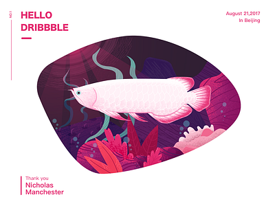 Hello Dribbble