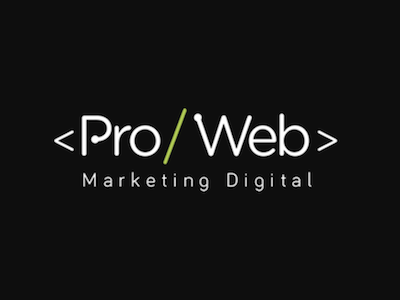 Pro Web Logo brand branding business card design graphic logo