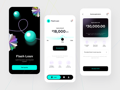 Flash Loan APP