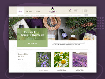 Ecommerce Design for Essential Oil Company design ecommerce homepage product web website