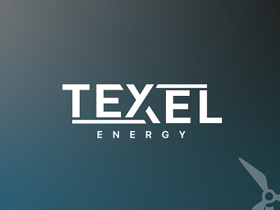 Logo Design TeXeL