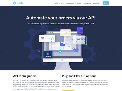 API Page