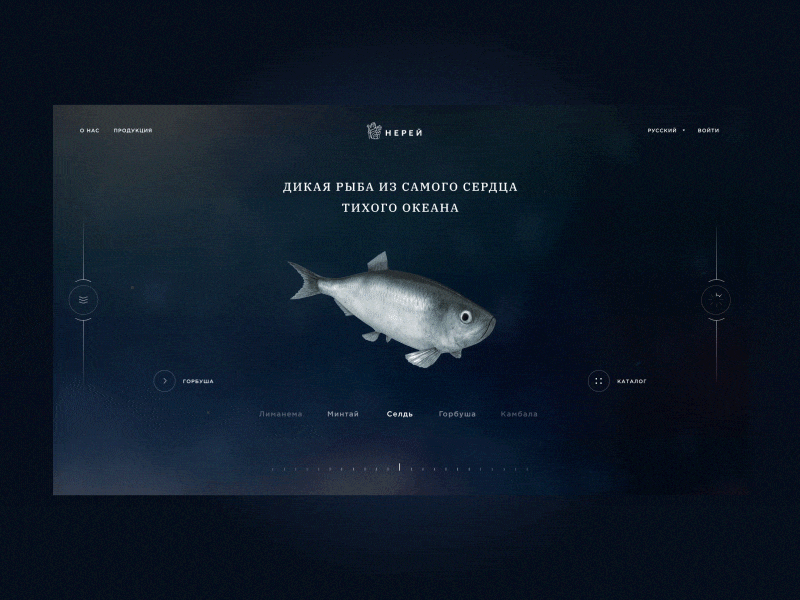 Nereus/concept clean fish fullscreen minimal sea site web webdesign