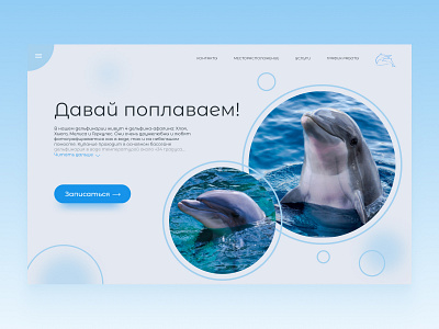 Dolphinarium Design Concept design logo ui ux