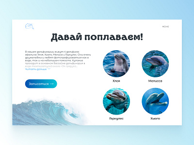 Dolphinarium Design Concept concept design logo ui ux