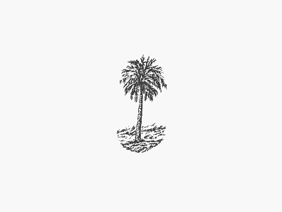 Palm Tree