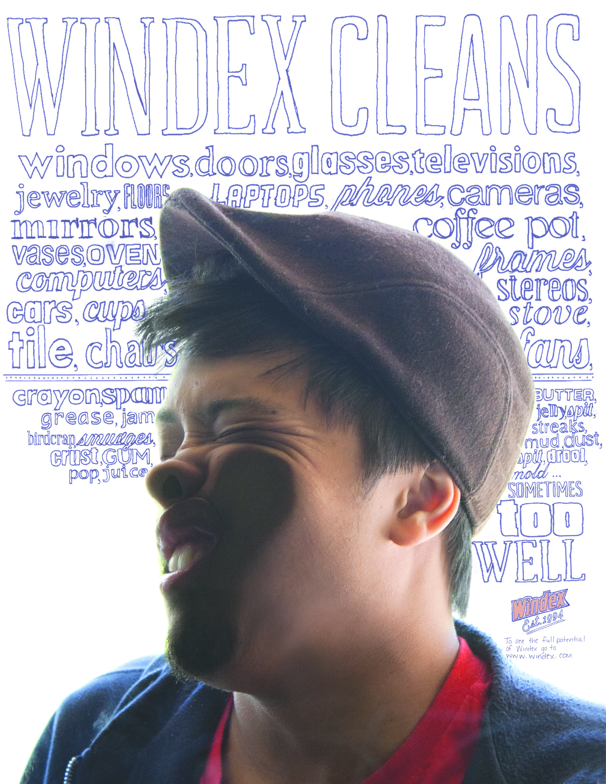 Windex ad